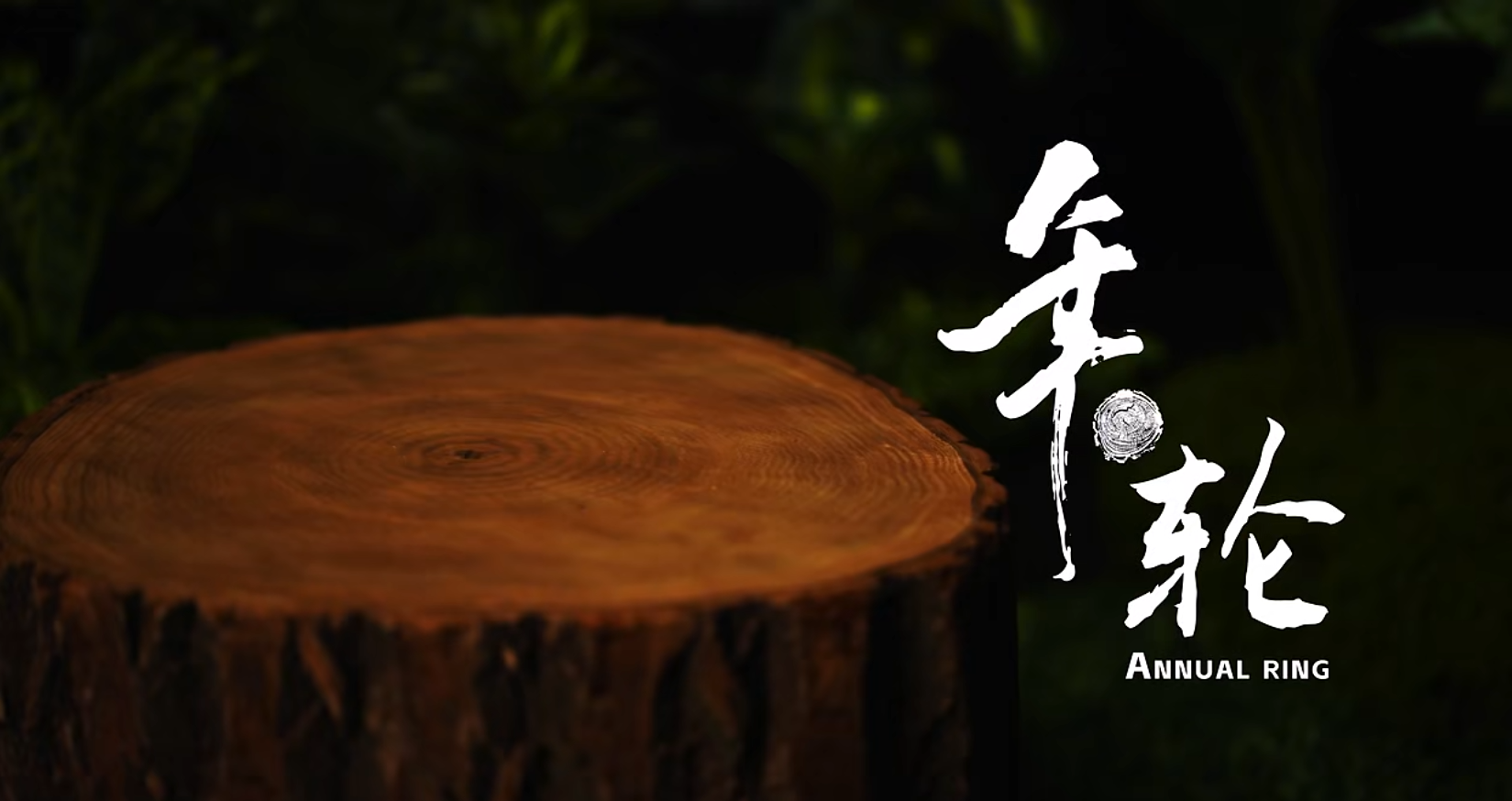 《年輪》——遼寧省腫瘤醫(yī)院第十屆讀書(shū)節(jié)宣傳片